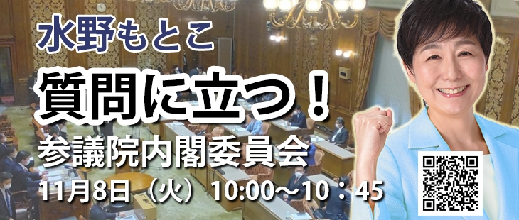 参議院内閣委員会質問に立つ20221108